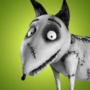 sparky