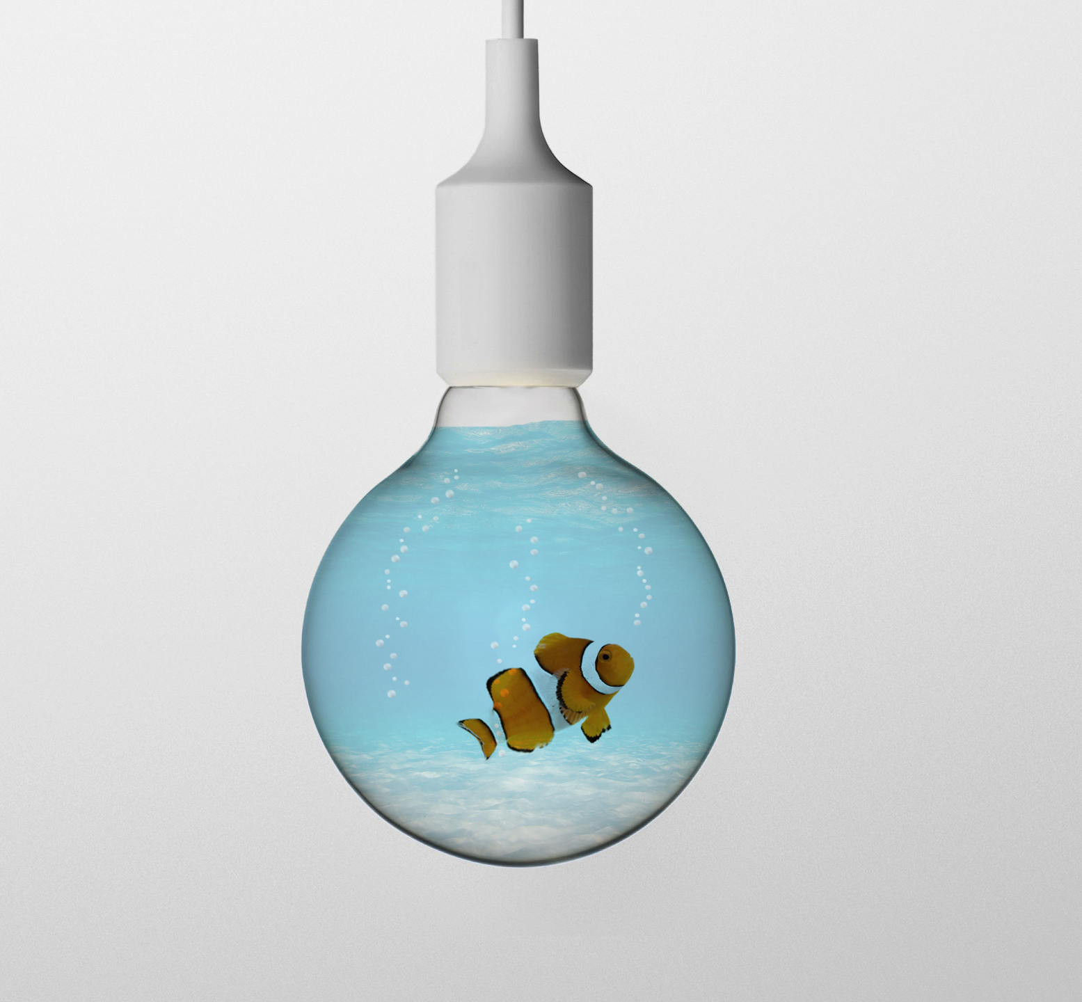 clownfish lightbulb
