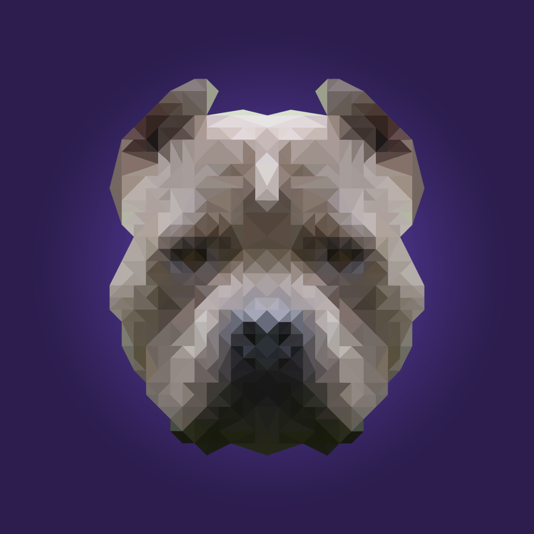polygon-pitbull